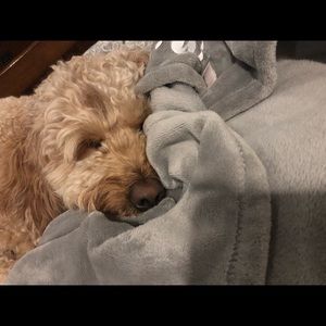 Meet your Posher, Alison